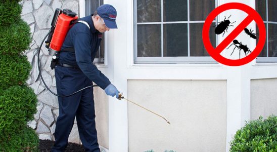 Zeytinburnu Tahtakurusu İlaçlama böcek ilaçlama ve haşere kontrolü — ilaclama-tr.com